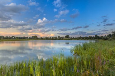 Nehir forelands Blauwe Kamer