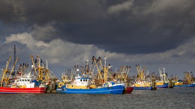 Hollandalı balıkçı filosu Lauwersoog Harbor