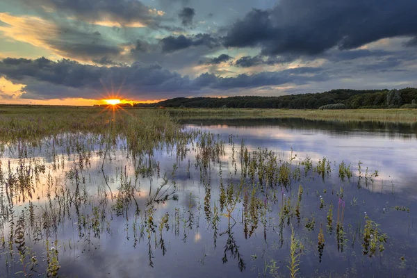 Bosque oscuro del río paisaje — Foto de Stock