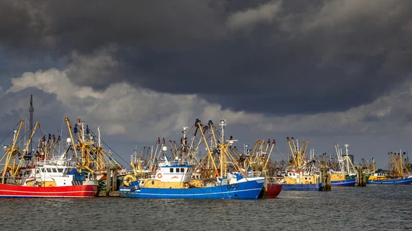 荷兰的捕鱼船队在 Lauwersoog 港 — 图库照片