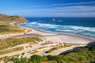 Güzel davetkar Beach Yeni Zelanda