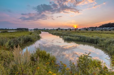 Betuwe nehir forelands