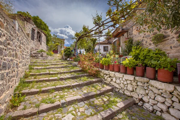 Midilli Adası Yunanistan üzerinde bahçeli taş merdiven — Stok fotoğraf