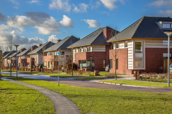 Case unifamiliari in una strada suburbana — Foto Stock