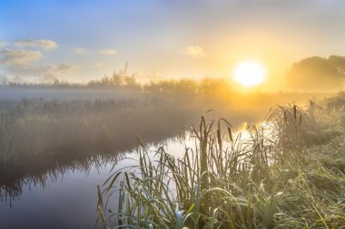 Hollandalı countriside Nehri üzerinde puslu sunrise