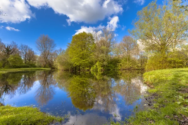 Springtime natural park — Stock Photo, Image