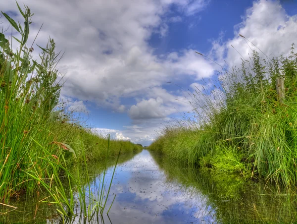 Freshwater ditch in dutch polder landscape — Stock Photo, Image