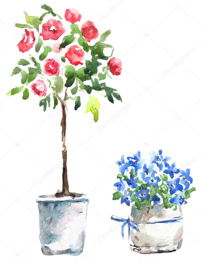 Watercolor flowers in pots