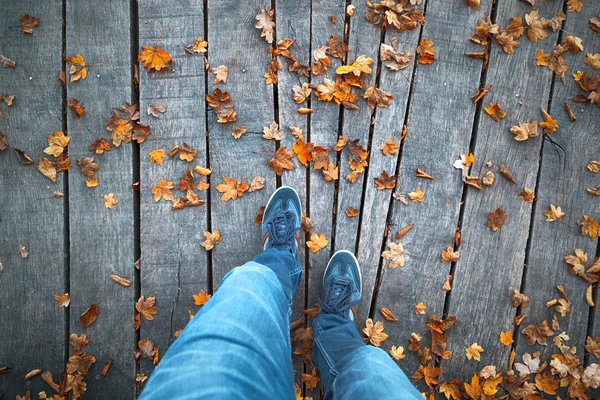 Otoño temporada parque con los hombres caminando — Foto de Stock