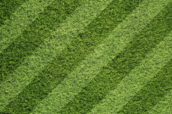 Кошенная спина футбольного поля — стоковое фото