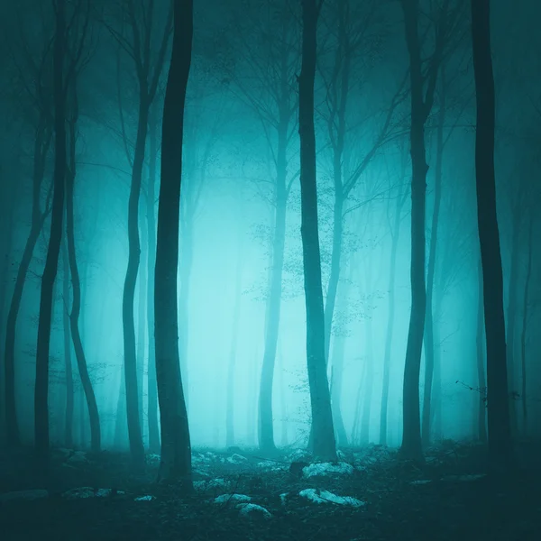 Fantezi Turkuaz rengi orman