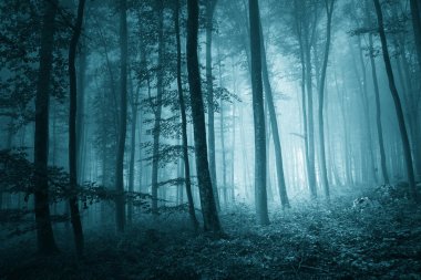 Dreamy mystic blue color foggy forest clipart