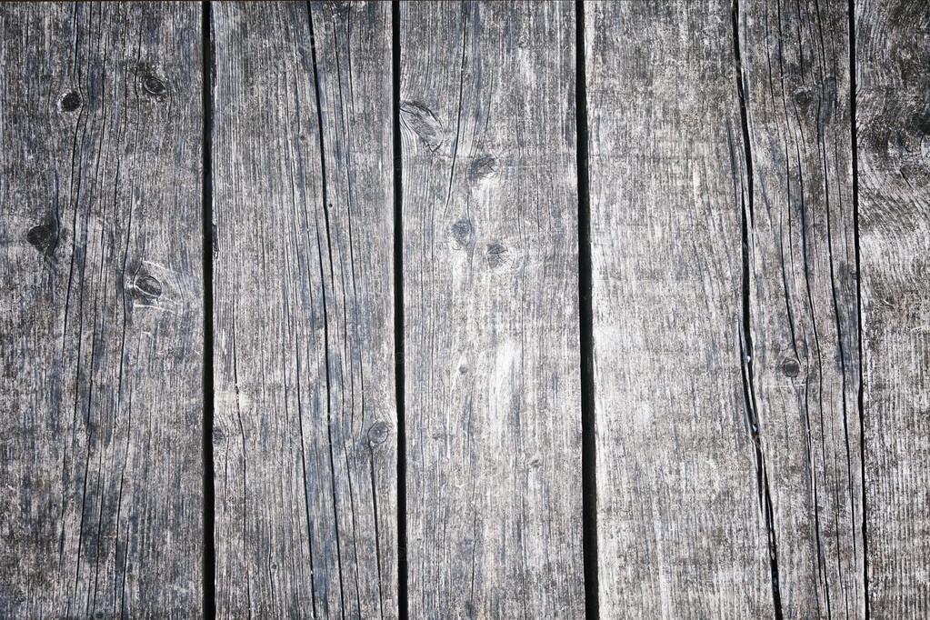 robsonphoto