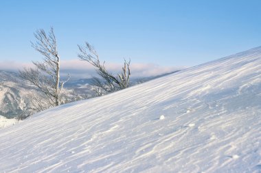 karlı kış manzara