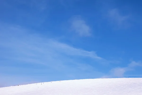 Clean winter landscape — Stockfoto