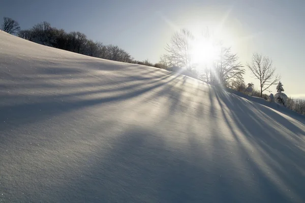 Belo dia de inverno ensolarado — Fotografia de Stock