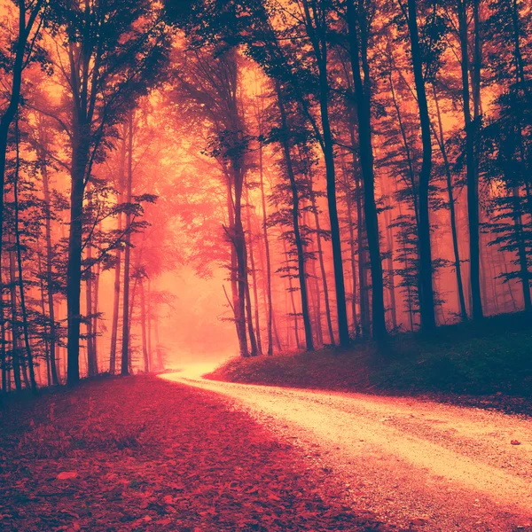 Creepy road Images, Royalty-free Stock Creepy road Photos & Pictures ...