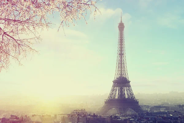 Aerial view of Paris cityscape with Eiffel tower at sunset