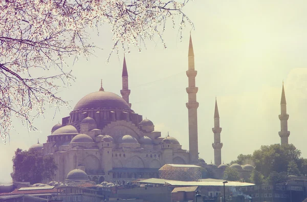Μπλε Τζαμί με την Ανατολή άνοιξη, Κωνσταντινούπολη — Φωτογραφία Αρχείου