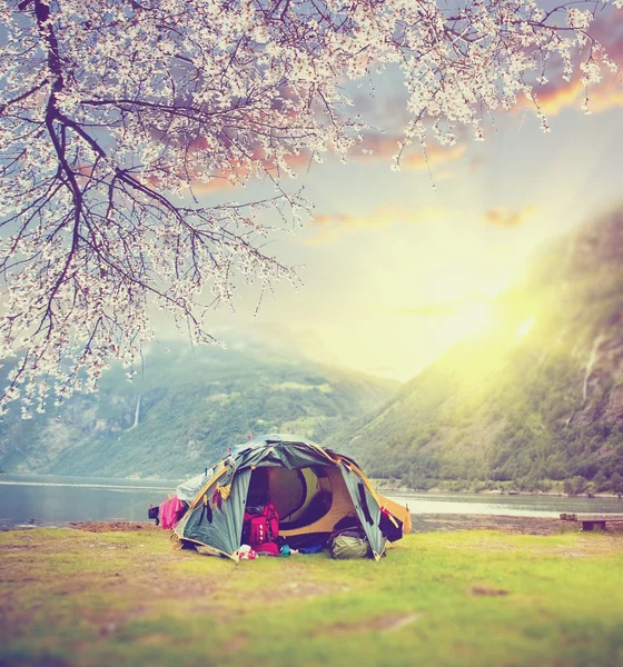 Tienda de campaña turística en las montañas de Noruega al amanecer — Foto de Stock