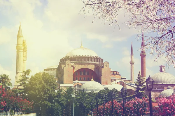 Santa Sofía (Santa Sofía) al amanecer de primavera, Estambul al amanecer de primavera, Estambul. Concepto de viaje. Imagen de color vintage — Foto de Stock