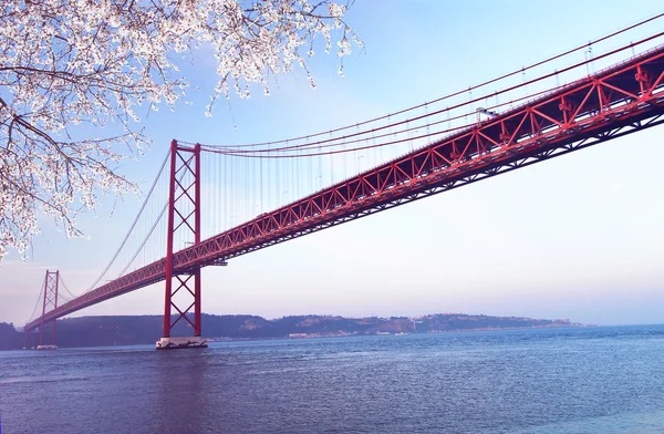 Rote brücke im frühling, lisbon, portugal — Stockfoto