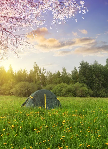Primavera en camping. tienda de campaña turística en las montañas de Noruega al amanecer — Foto de Stock