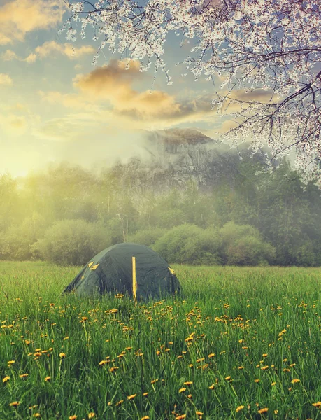 Printemps au camping. tente touristique dans les montagnes norvégiennes au lever du soleil — Photo