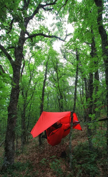 Árboles Hamaca Con Tienda Madera Primavera Concepto Viaje Aventura — Foto de Stock