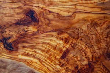 Zeytin ağacı dokusu arka planı. Gerçek zemin kesimi.