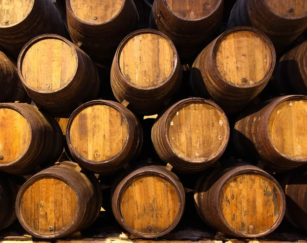 Fila de barriles de madera de vino de Oporto, Portugal —  Fotos de Stock