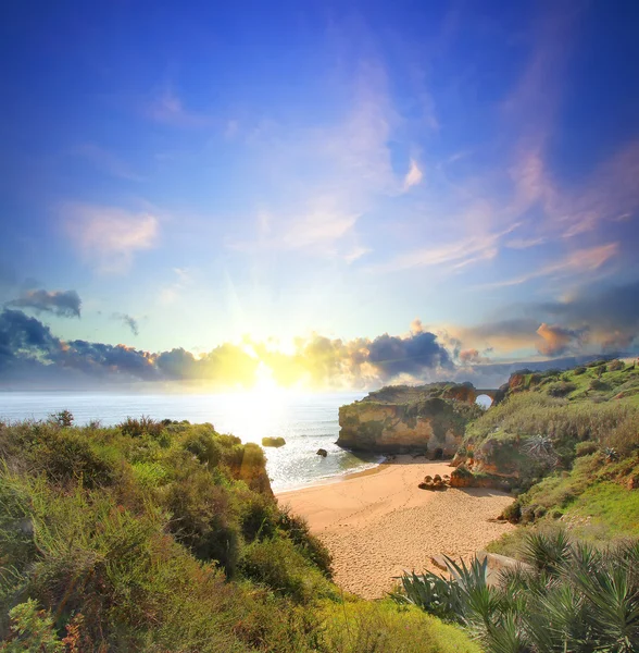 Playa rocosa al atardecer, Lagos, Portugal. Contraluz. Viajes y negocios —  Fotos de Stock