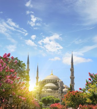 blue mosque, Istanbul. Travel concept