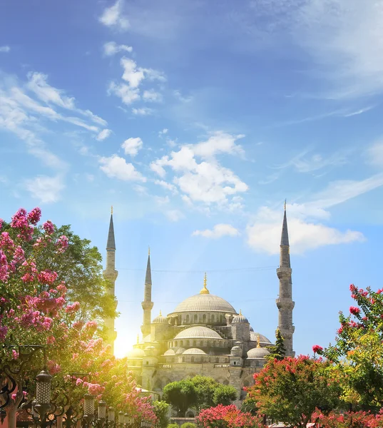 Blue mosque, Istanbul. Travel concept — Stockfoto