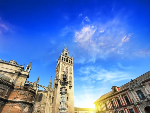 Sewilli (Katedra de Santa Maria de la Sede), gotyckim stylu architektury w Hiszpanii Andaluzja podróżować pojęcie — Zdjęcie stockowe
