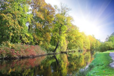 gündoğumu, güzel orman