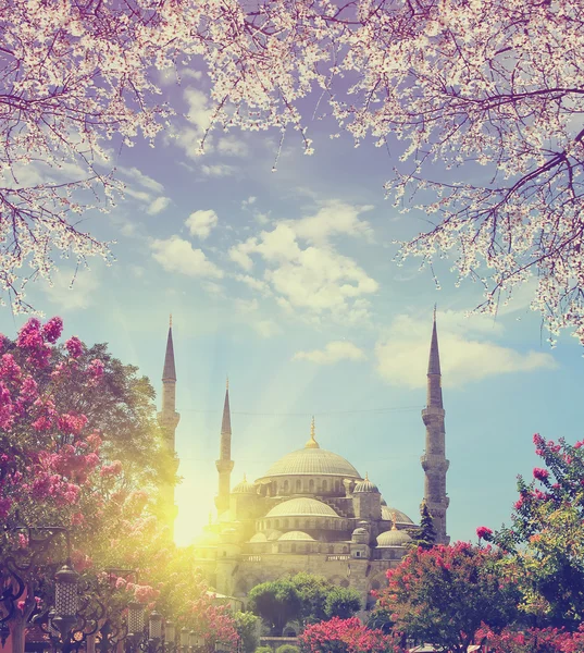 Blauwe moskee bij Lente zonsopgang, Istanbul — Stockfoto