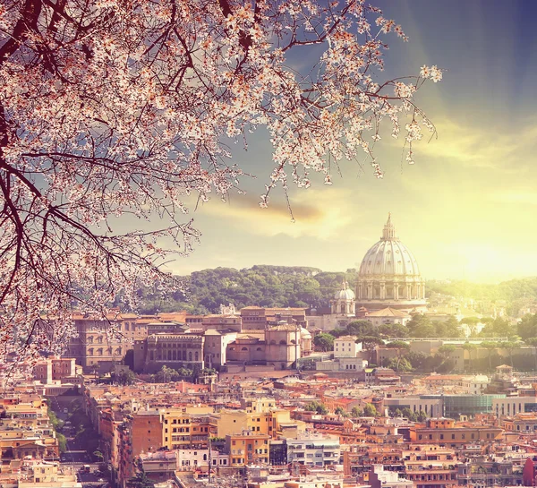 Vista aérea de la catedral de San Pedro en Roma, Italia — Foto de Stock