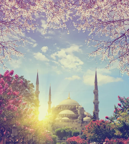 Moschea blu all'alba di primavera, Istanbul Foto Stock