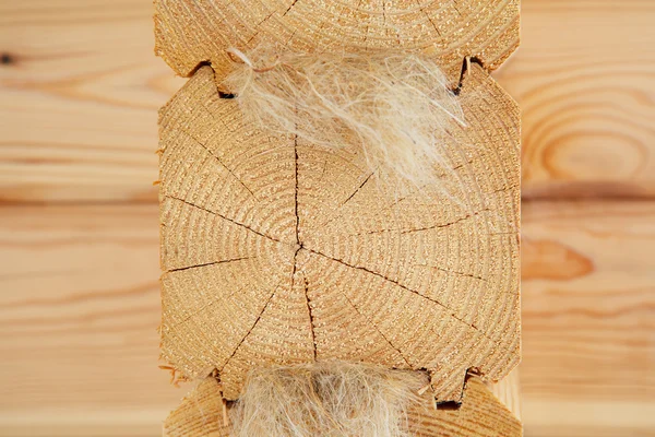 White dress no bra son bir taze çam açık havada