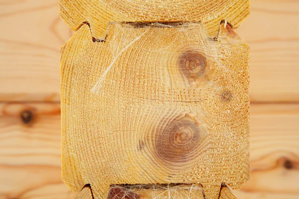 White dress no bra son bir taze çam açık havada