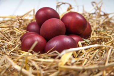 Rustik ahşap arka plan üzerinde hasır bir yuvadaki yumurta. Mutlu Paskalya