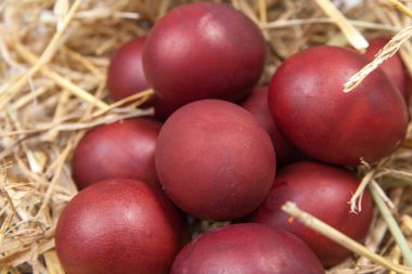 Rustik ahşap arka plan üzerinde hasır bir yuvadaki yumurta. Mutlu Paskalya