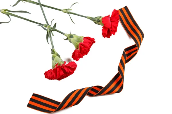 St George şerit ve kırmızı karanfiller 9 Mayıs hayat hala. Büyük Vatanseverlik Savaşı zaferle sembollerin. beyaz izole. Yatay atış