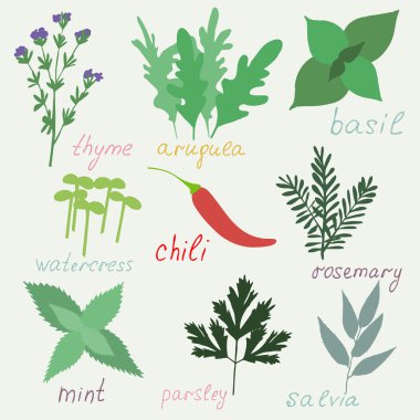 izole çizilmiş hend otlar baharat seti.