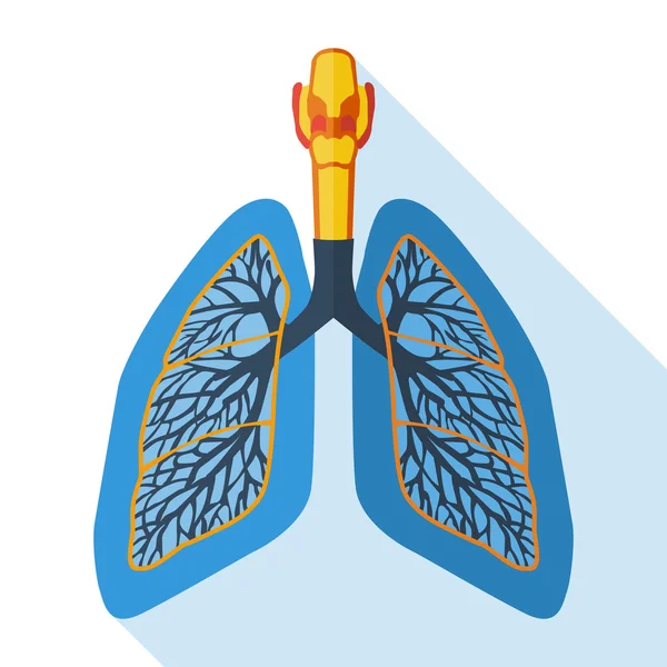 Icono de diseño plano de pulmones humanos. Ilustración vectorial . — Archivo Imágenes Vectoriales