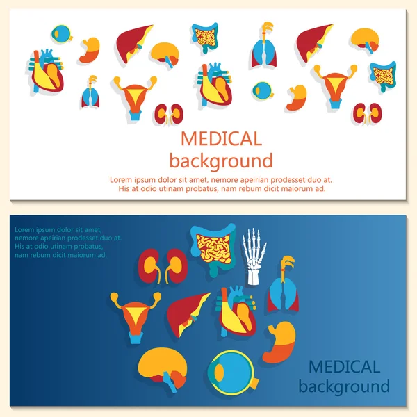 Concept van webbanner. Medische achtergrond. Menselijke anatomie. — Stockvector