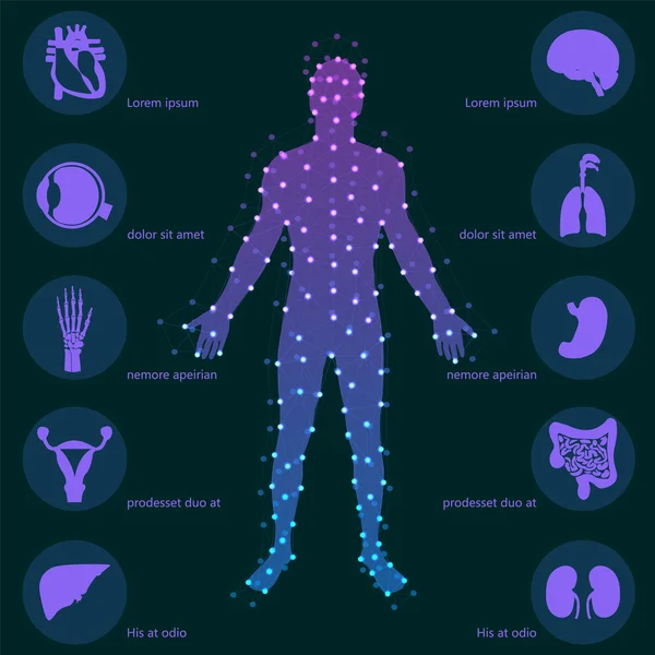 Tıbbi geçmişi. İnsan anatomisi. — Stok Vektör