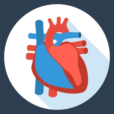 Anatomi insan kalp düz tasarım simgesi. 