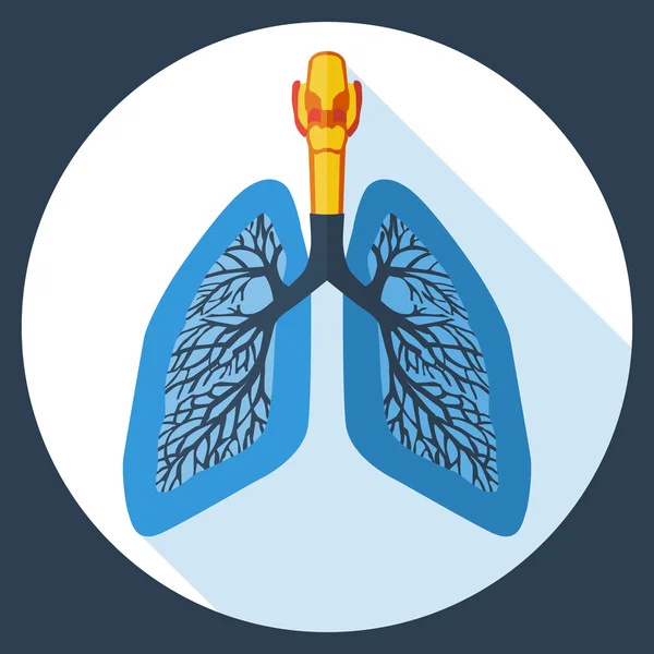 Flat design icon of human lungs. Vector illustration. — Stock Vector